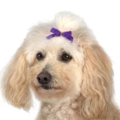 Aria Multi Colour Bow Canister 3/8in 100 PC -Wah Shop AR 16199 2