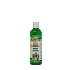 Envirogroom Mint Julep Texturizing Herbal Shampoo 17oz