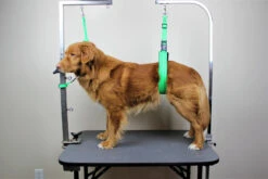 GroomTech Biothane Safety Grooming Tether [Colour: Teal] -Wah Shop GT SGT01 TE 1