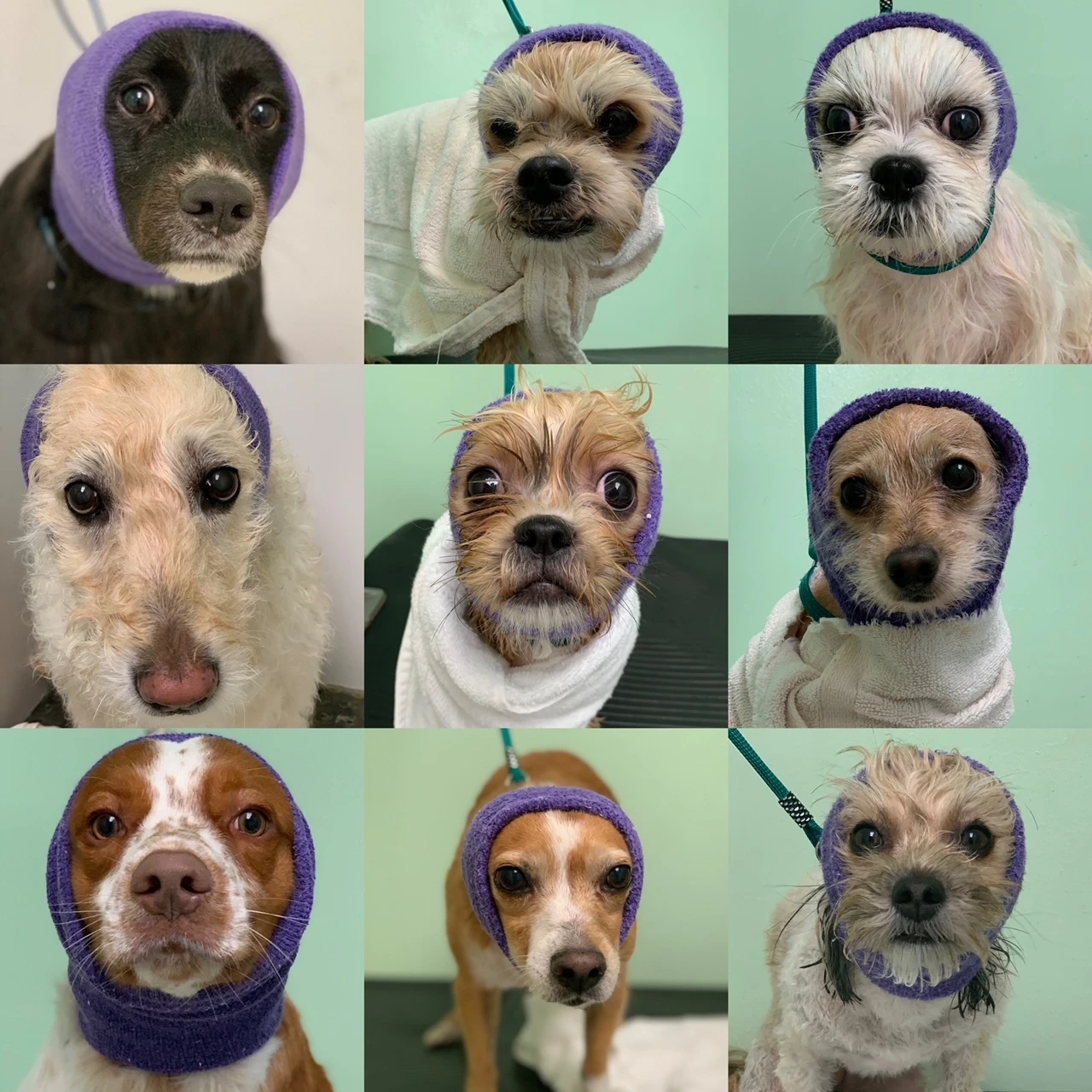 Happy Hoodie Black, X-Small 3 Happy Hoodie Black, X-Small - Image 3