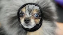 Happy Hoodie Black, X-Small 13 Happy Hoodie Black, X-Small -Wah Shop HH 00 BK 3