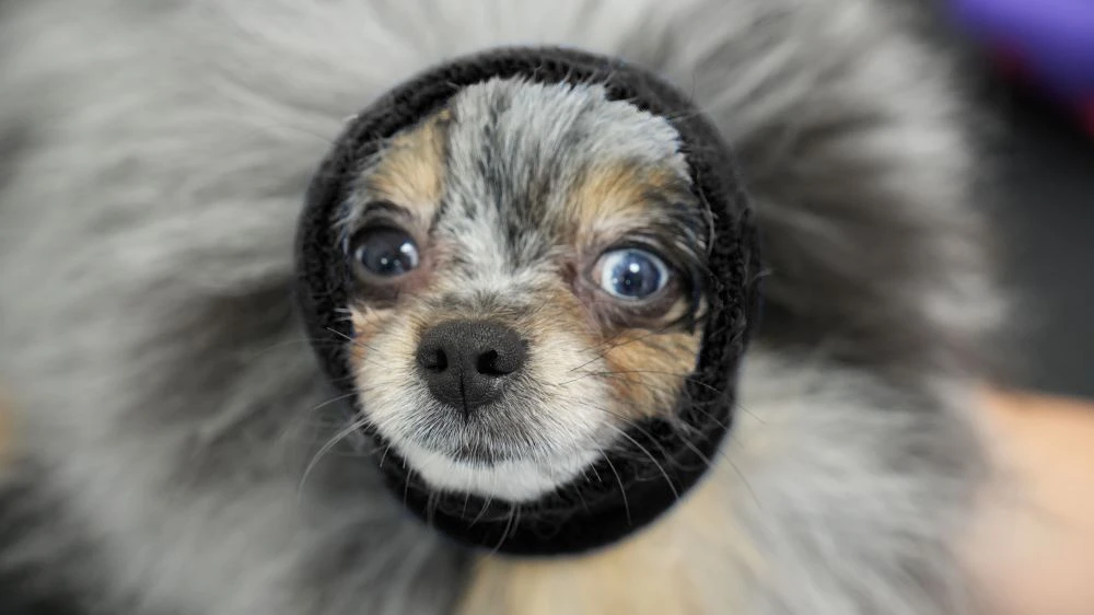 Happy Hoodie Black, X-Small 4 Happy Hoodie Black, X-Small - Image 4