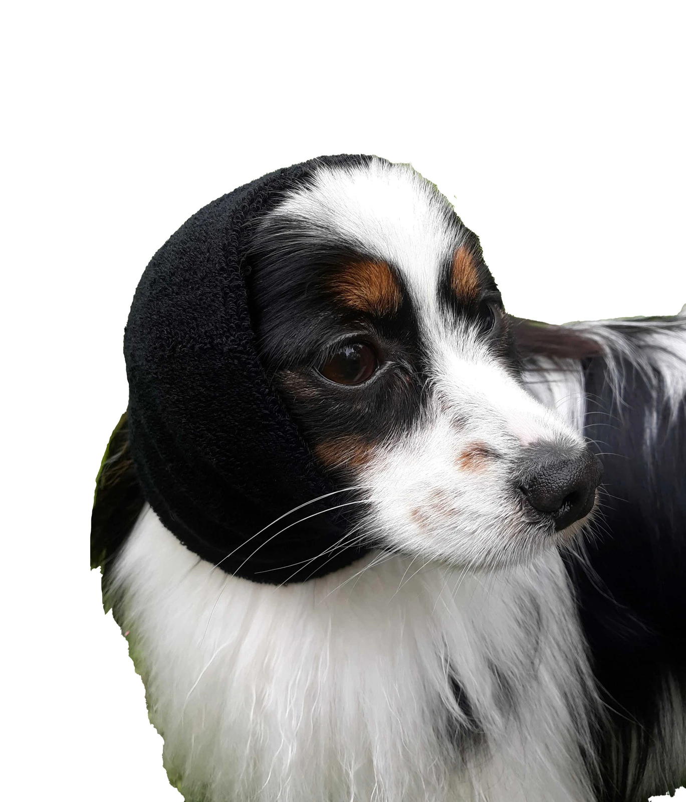 Happy Hoodie Black, X-Small 1 Happy Hoodie Black, X-Small