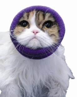 Happy Hoodie Purple, X-Small