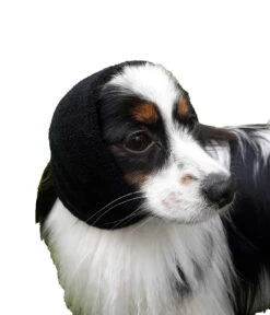 Happy Hoodie Purple, X-Small -Wah Shop HH 00 PP 3