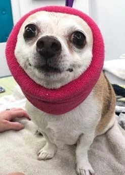 Happy Hoodie Pink, Pack Of 2 -Wah Shop HH 01 PK 4