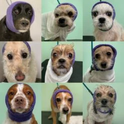 Happy Hoodie Purple, Pack Of 2 -Wah Shop HH 01 PP 2