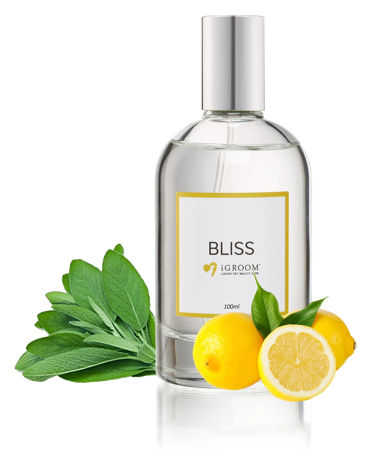 IGroom Perfume Bliss 100ml 1 IGroom Perfume Bliss 100ml