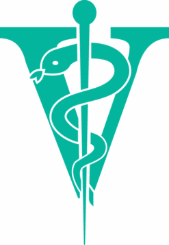 Joyzze Hornet Mini Trimmer 2 Speed [Teal] -Wah Shop JY 99027 8