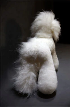 Mr. Jiang Teddy Bear Full Body Coat / Model Dog [White] -Wah Shop MJ TB02W 8