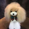Mr. Jiang Teddy Bear Head Hair / Model Dog [Champagne]