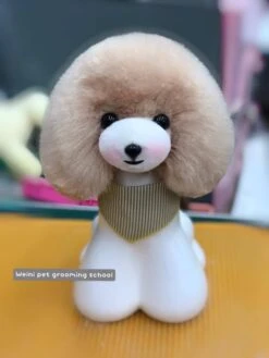 Mr. Jiang Teddy Bear Head Hair / Model Dog [Champagne] -Wah Shop MJ TB04C 2