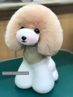 Mr. Jiang Teddy Bear Head Hair / Model Dog [Champagne] -Wah Shop MJ TB04C 3