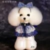 Mr. Jiang Teddy Bear Head Hair / Model Dog [White]