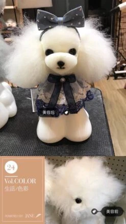 Mr. Jiang Teddy Bear Head Hair / Model Dog [White] -Wah Shop MJ TB04W 4