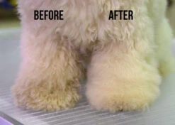 Show Tech Dry Shampoo 100g -Wah Shop ST 90021 3