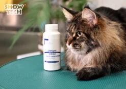 Show Tech Dry Shampoo 100g -Wah Shop ST 90021 4