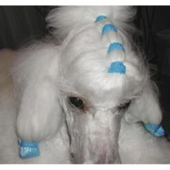 Show Tech Latex Bands Neon 1000pcs -Wah Shop ST 90998 2