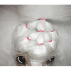 Show Tech Latex Bands Neon 1000pcs -Wah Shop ST 90998 3