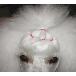 Show Tech Latex Bands Neon 1000pcs -Wah Shop ST 90998 4