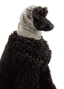 Show Tech Snood Luxe Fancy Ear Covers For Dogs [Silver]