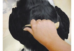 Show Tech Ultra Pro Set Of 4 Stripping Knife 14 Show Tech Ultra Pro Set Of 4 Stripping Knife -Wah Shop ST 93581 6