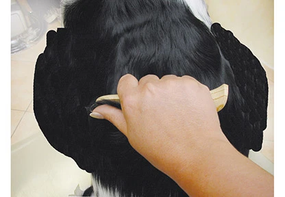 Show Tech Ultra Pro Set Of 4 Stripping Knife 7 Show Tech Ultra Pro Set Of 4 Stripping Knife - Image 7