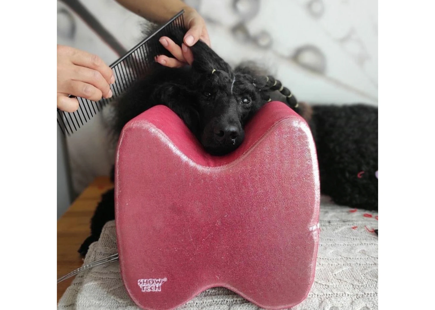 Show Tech Topknot Cushion Pillow Glitzy Red - Large 3 Show Tech Topknot Cushion Pillow Glitzy Red - Large - Image 3