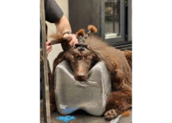 Show Tech Topknot Cushion Pillow Glitzy Black - Small -Wah Shop ST 94917 4