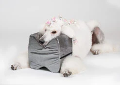 Show Tech Topknot Cushion Pillow Glitzy Black - Large 9 Show Tech Topknot Cushion Pillow Glitzy Black - Large -Wah Shop ST 94919 3