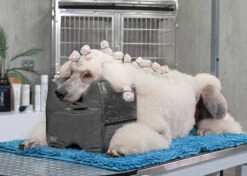 Show Tech Topknot Cushion Pillow Glitzy Black - Large 10 Show Tech Topknot Cushion Pillow Glitzy Black - Large -Wah Shop ST 94919 4