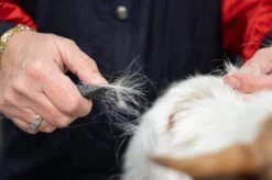 Show Tech Comfy Stripping Stick 13mm Double Sided -Wah Shop ST 95086 3