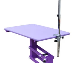 Aeolus Classic Z Shape Electric Lifting Table - Medium [Purple] -Wah Shop T FT802E PP 2