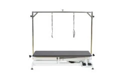 Aeolus Low-Low Electric Lifting Table Eco Version -Wah Shop T FT808 ECO 2