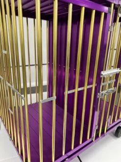 Aeolus 2-Berth Show Trolley With 4" Nylon Wheels [Gold And Purple] -Wah Shop T KB511NAT GP Kit 5