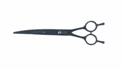 Swan Stainless Scissors - Curved 7.5" [Black]