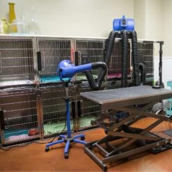 XPower Pro Finishing Plus Anionic Stand Dryer B18 -Wah Shop XP B18 5